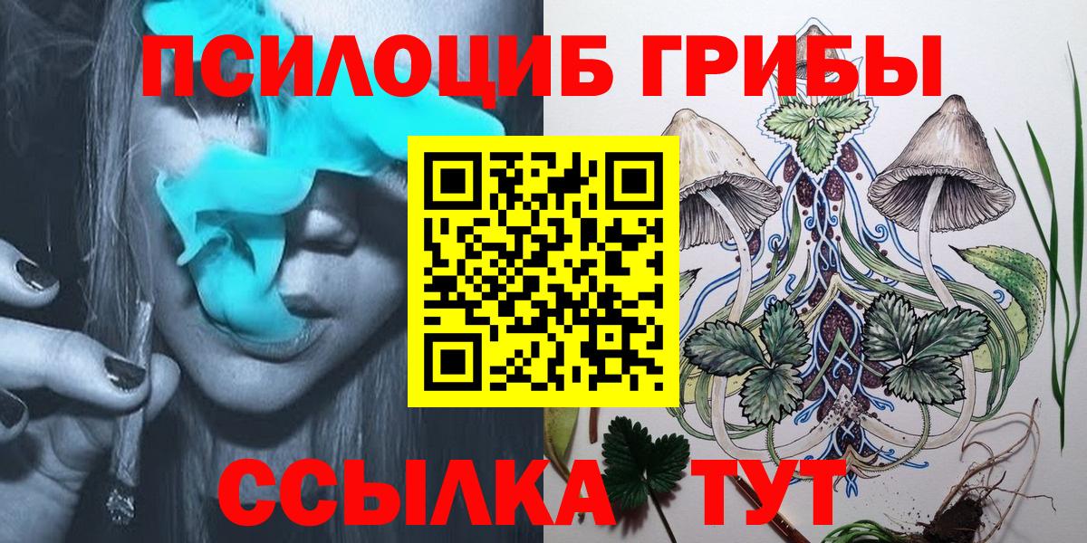 Аксай  Псилоцибиновые грибы прущие грибы  Галлюциногенные грибы мухоморы  купить наркотик  Вход с VPN 